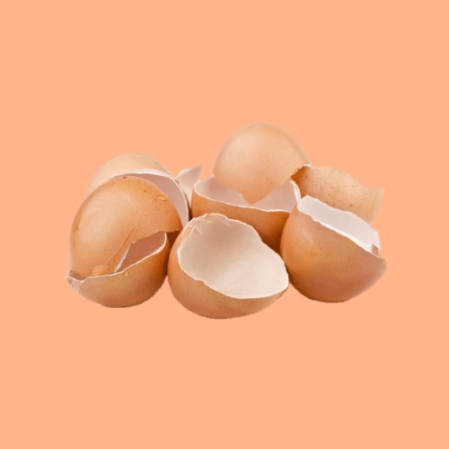 egg-shells